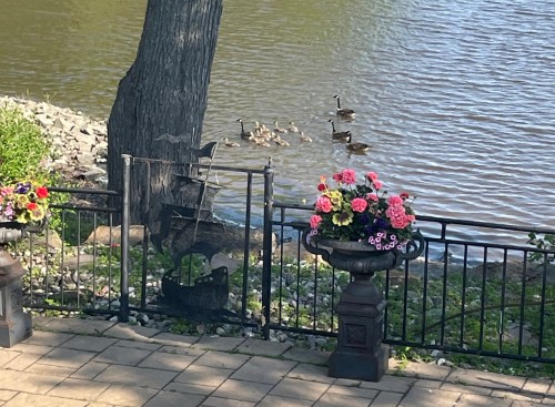 Bord de l'eau - 10 Ch. De L'Île-Claude, L'Île-Perrot, QC 