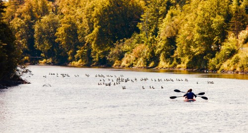 Waterfront - 735 Ch. Brousseau, Labelle, QC 