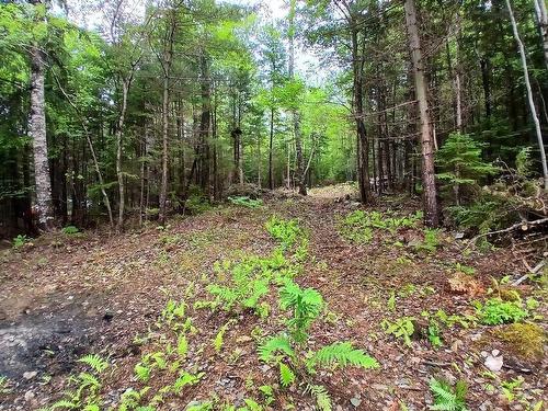Northfield Road, Upper Northfield, NS 