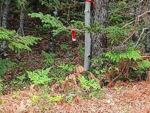 Northfield Road, Upper Northfield, NS 