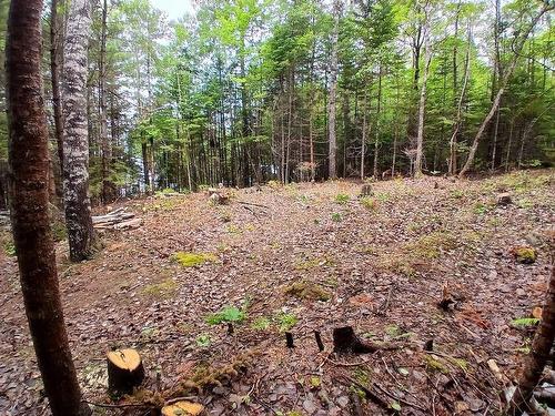 Northfield Road, Upper Northfield, NS 