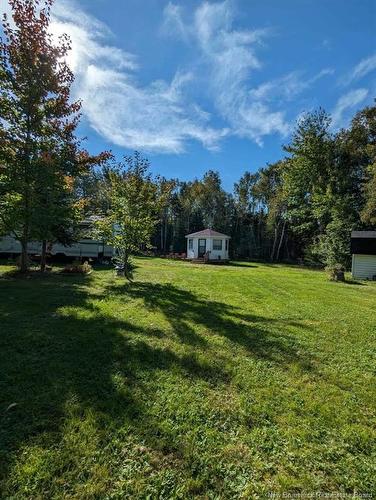 28 Betty, Upper Rexton, NB 