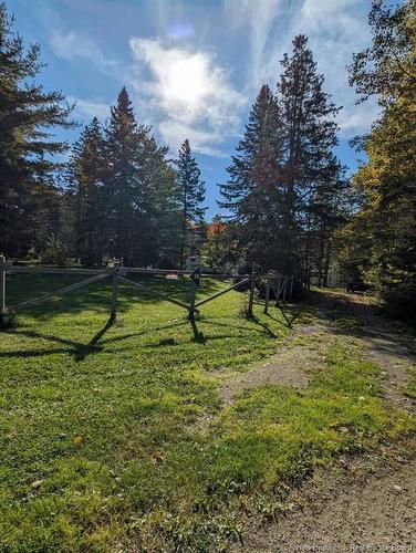 28 Betty, Upper Rexton, NB 