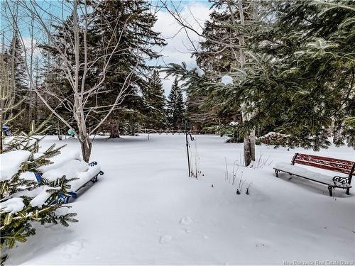 28 Betty, Upper Rexton, NB 