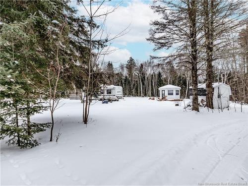 28 Betty, Upper Rexton, NB 