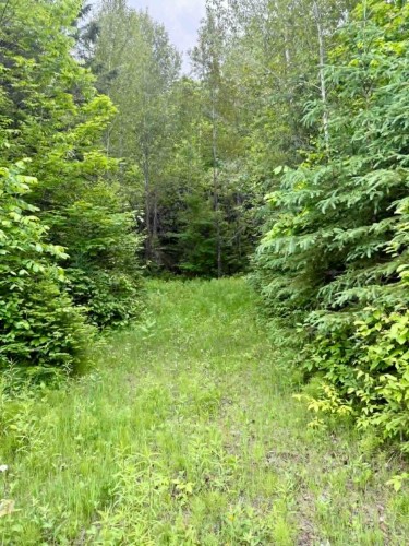 Other - Route 117 N., Rivière-Rouge, QC 
