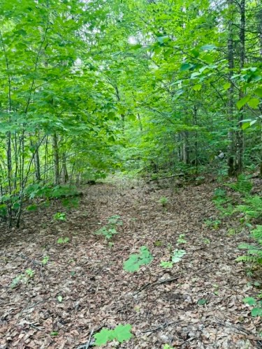 Lot - Route 117 N., Rivière-Rouge, QC 