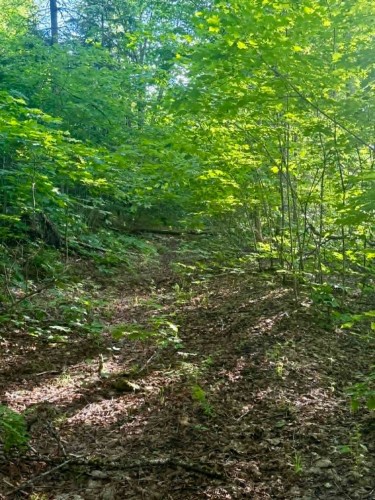 Lot - Route 117 N., Rivière-Rouge, QC 