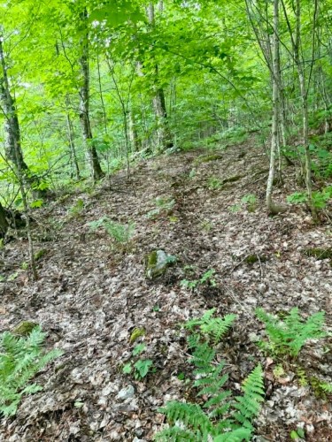 Lot - Route 117 N., Rivière-Rouge, QC 