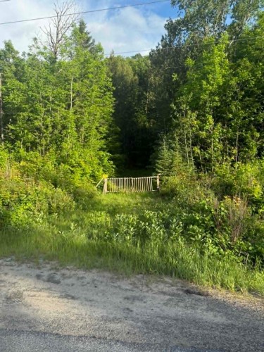 Other - Route 117 N., Rivière-Rouge, QC 