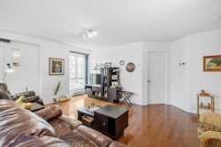 Living Room - 