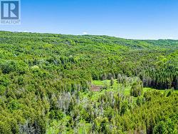 Clearing Beyond River - 