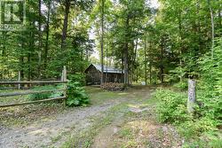 1804 CLYDESDALE ROAD  North Kawartha, ON K0L 1A0