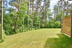 Well Treed for Privacy - 
