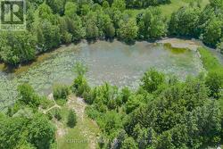 30 Willowgate Dr - drone - 