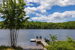 Double lot for added privacy! - 