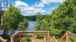Gorgeous elevated lake views - 