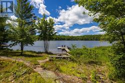 Natural setting - 