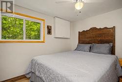 Main level primary bedroom - 