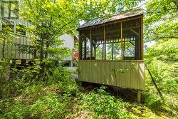 Gazebo amongst the pines - 
