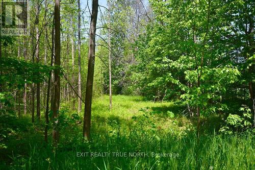 199 3 Concession Road W, Tiny, ON 