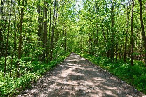 199 3 Concession Road W, Tiny, ON 