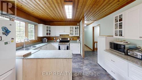 Cool ceilings - 91 Simcoe Road, Ramara, ON 