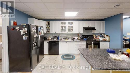 Lower kitchen - 91 Simcoe Road, Ramara, ON 