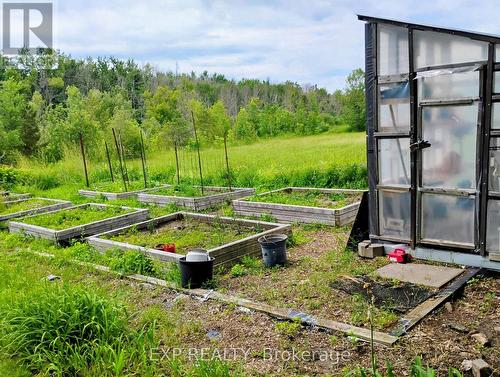 Raised gardens - 91 Simcoe Road, Ramara, ON 