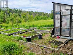 Raised gardens - 