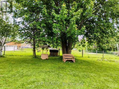 Shade tree - 91 Simcoe Road, Ramara, ON 