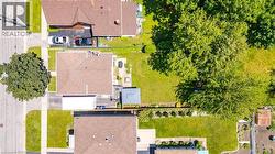 Manicured lawn with mature trees and a paved driveway - 