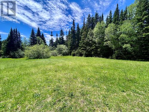 623 Main Road, Spruce Brook, NL 