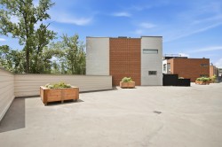 Patio - 