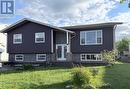 2 Carroll Avenue, Pasadena, NL 