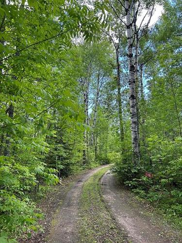 0 Pr 313 Hwy, Alexander Rm, MB 