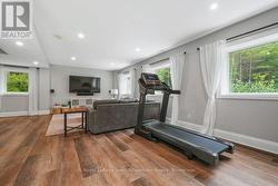 family room lower level - 