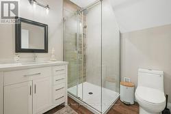lower level bathroom - 