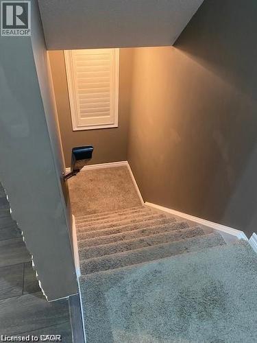 Carpeted staircase with white trim, featuring a window with white plantation shutters and a wall-mounted light fixture - 4 Isaiah Drive, Kitchener, ON 