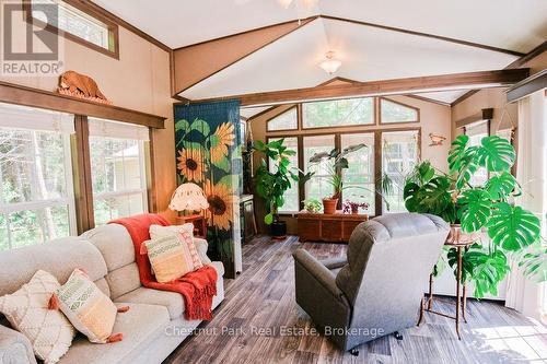 Livingroom - Bifold door behind sunflowers - Unit 1 - 98 North Shore Road, Kearney (Proudfoot), ON 