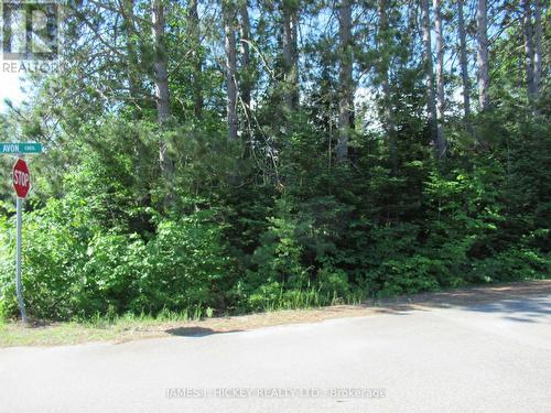 Lt 99 Avon Road, Deep River, ON 