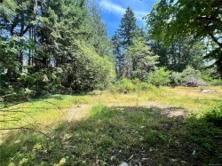 Lot B Chemainus Rd  Chemainus, BC V0R 1K5