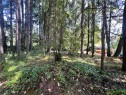Lot B Chemainus Rd, Chemainus, BC 