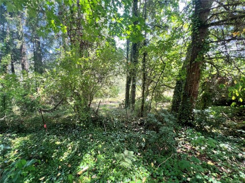 Lot B Chemainus Rd, Chemainus, BC 