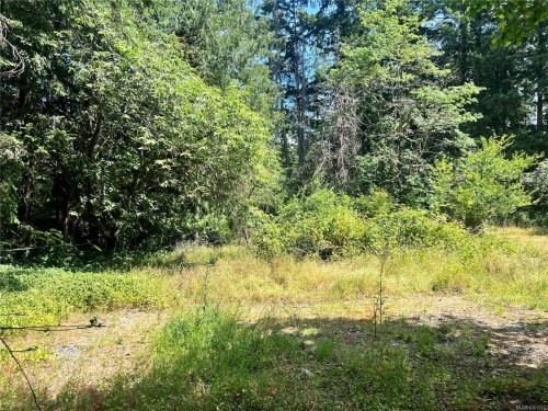 Lot B Chemainus Rd, Chemainus, BC 