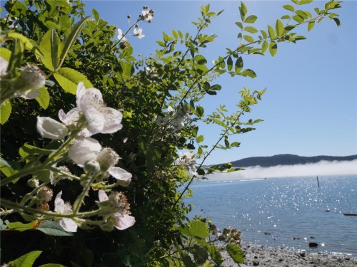 6986 Wright Rd, Sooke, BC 