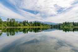 11258 Pine St Port Alberni, BC V9Y 6Z2