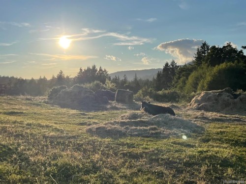 6537 Helgesen Rd, Sooke, BC 