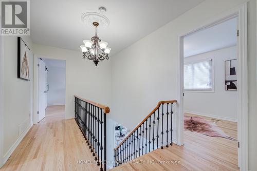 5 Hopedale Court, Mississauga, ON 