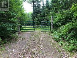 17 DIAMOND LAKE ROAD Madawaska Valley, ON K0J 1L0